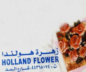 Holland Flower|Shopping|Qatar Day