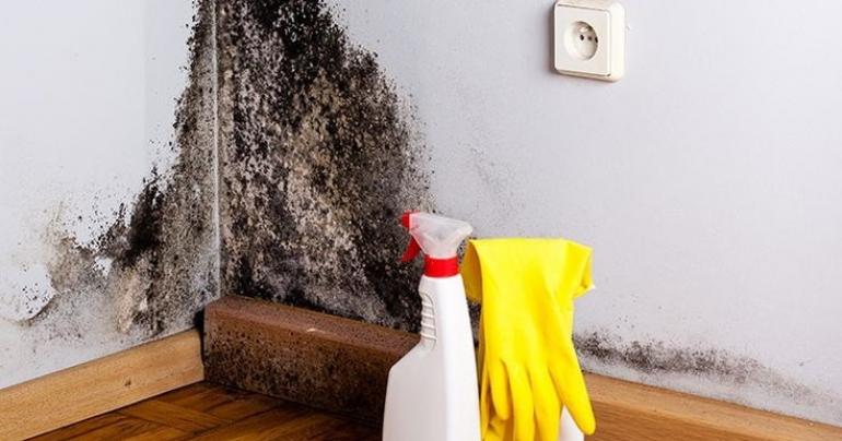 Why Your Home Is More Toxic Than You Think