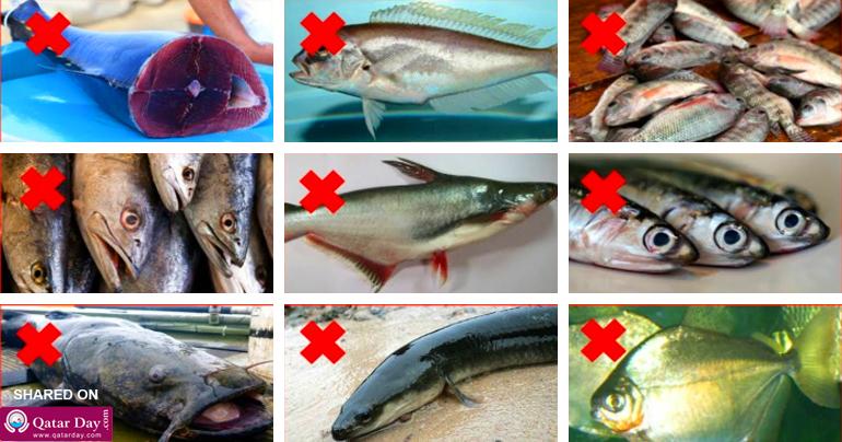 9 Kinds of Fish You Shouldn’t Eat