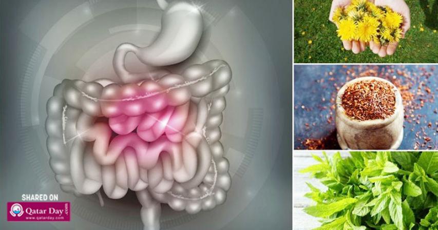 11 Best Natural Laxatives That Quickly Relieve Constipation
