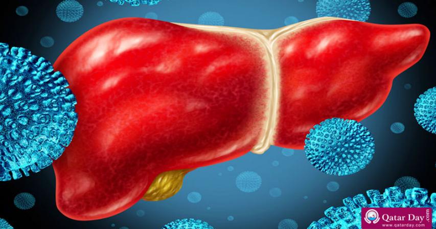 Uncovering the Myths and Facts about Hepatitis C and Liver Cancer
