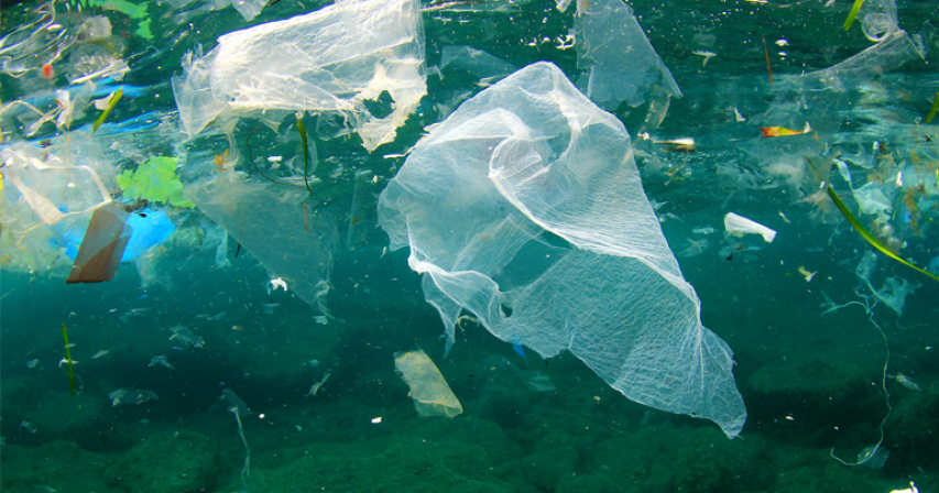 'Staggering' levels of plastic pollution by 2040