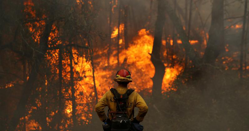 Record California wildfires burn over 4 million acres
