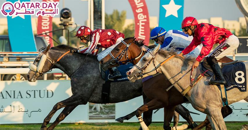 Qatar Horse Racing Season Auction