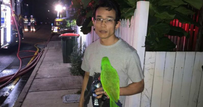 Pet parrot saves Australian man from house fire