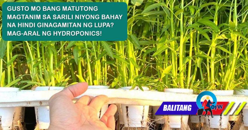 Philippine Embassy in Qatar - May Online Seminar sa Soil-Free Hydroponic Farming!