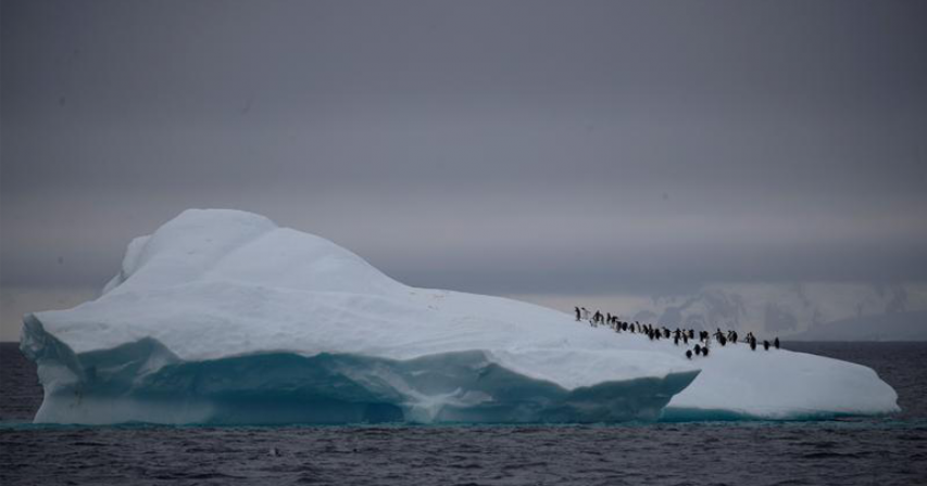 Antarctica rocked by 30,000 tremors in three months, Chilean scientists say 