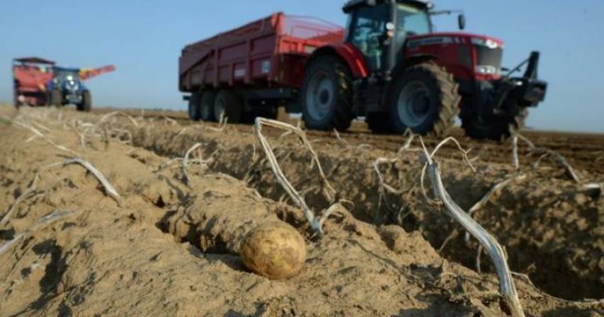 'Human remains' find turned out to be a potato: UK police