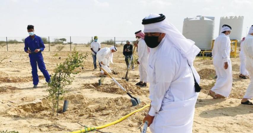 QBG conducts desert wild plant restoration event