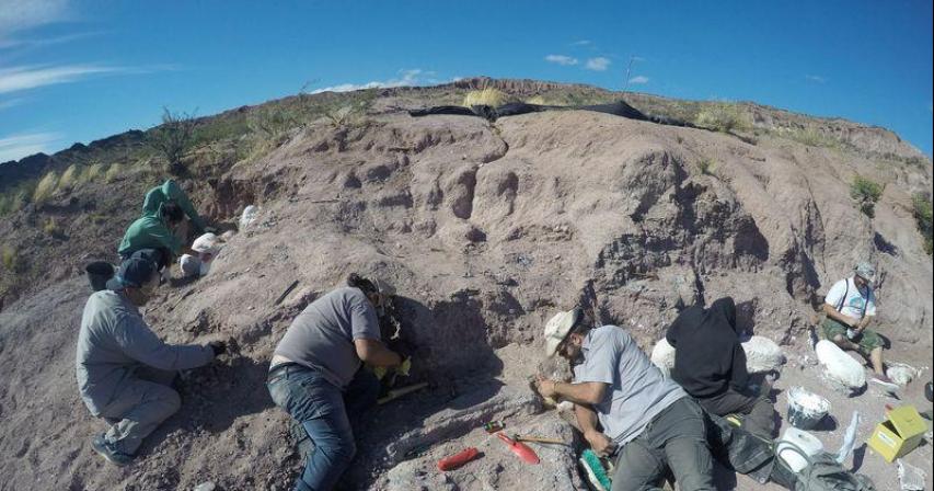 Fossils of oldest member of huge dinosaur group found in Argentina