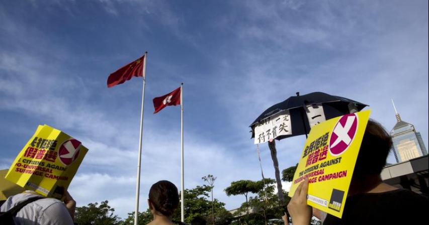 Hong Kong electoral reforms prevent 'dictatorship of the majority', says pro-Beijing lawmaker