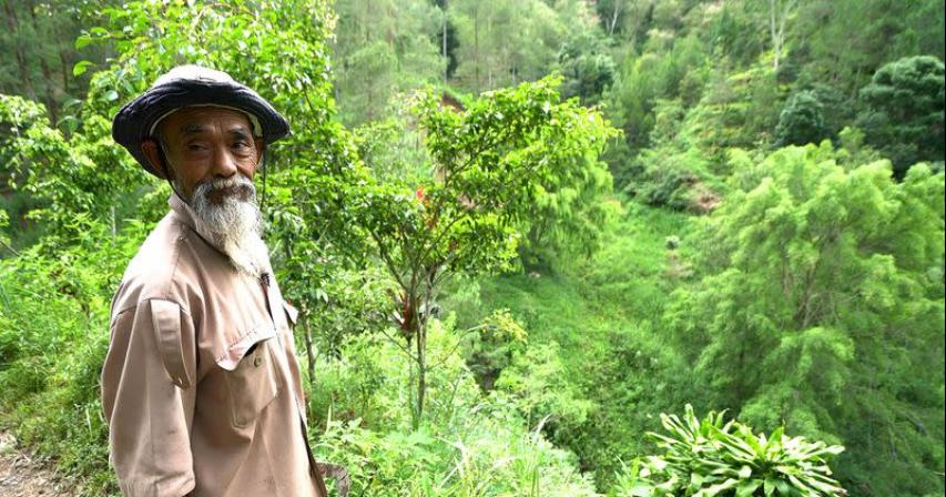 Once called crazy, Indonesian eco-warrior turns arid hills green