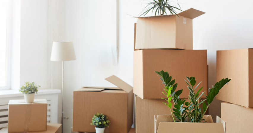 Make Your Home Move Easier, Moving House, Shifting House, Moving, Shifting 