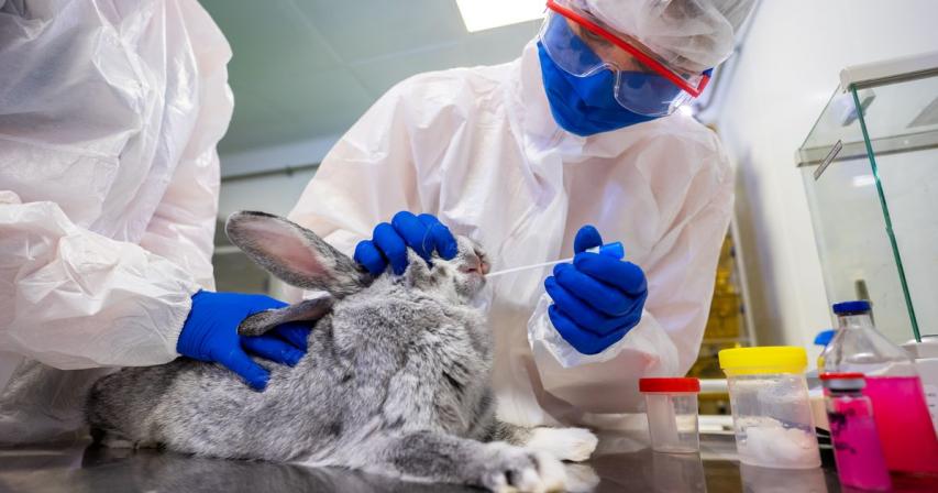 Russia produces first batch of COVID-19 vaccine for animals -regulator