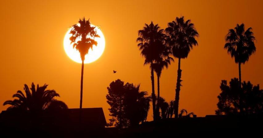 Unrelenting U.S. Southwest heatwave continues as power grids hold up 