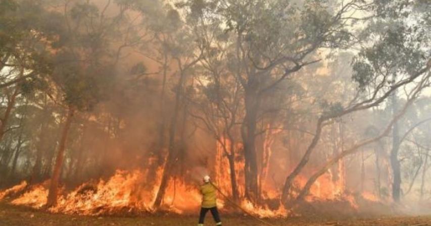 US heatwave: Wildfires rage in western states as temperatures soar