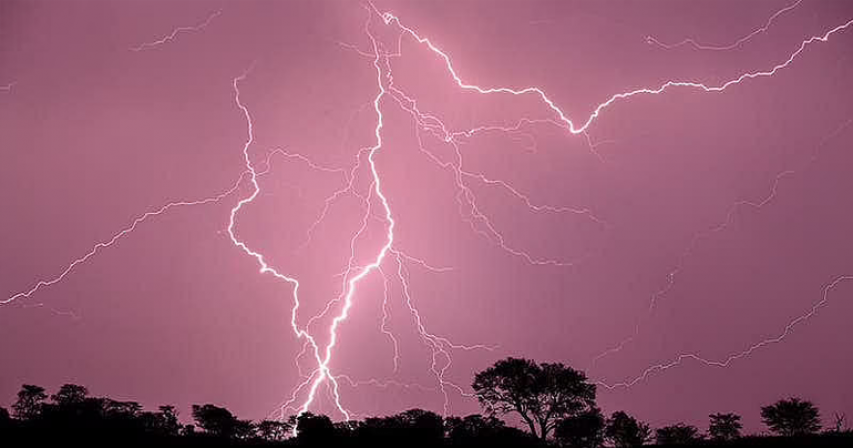Jaipur: Lightning strike kills 11 taking selfies in India