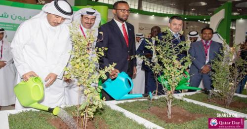 Project to plant 1 million trees in Qatar kicks off
