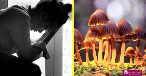 Researchers Explain How to Treat Depression With Mushrooms