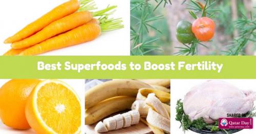 Foods to improve fertility in male and female
