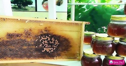 Honey production in Qatar almost doubled last year