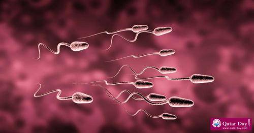 Lifestyle Changes to Improve Sperm Count and Boost Fertility