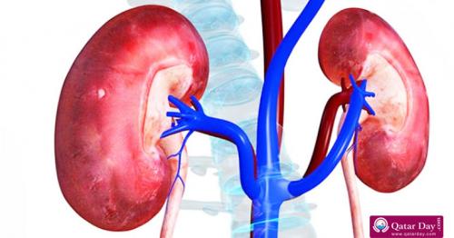 Here are the top 6 cause of kidney disease
