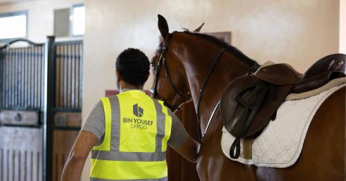 Equine Logistics for the Longines Global Champions Tour in Doha handled by Bin Yousef Cargo