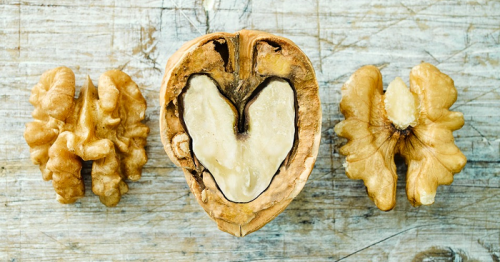 Heart Health Benefits of Walnuts May Start With the Gut, Says New Study