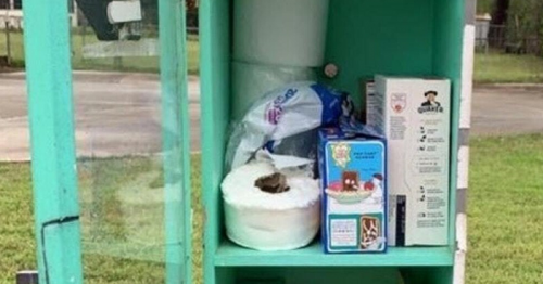 Outdoor Library Converted into Mini-food Bank in Response to Coronavirus Fears