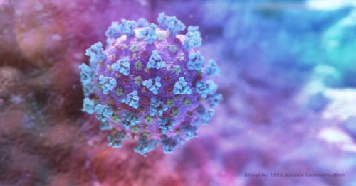 Coronavirus:  Cheap antibody test sent for validation in Covid-19 fight