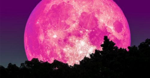 ‘Pink’ Supermoon To Be The Brightest And The Biggest Moon For The Year Will Appear Today