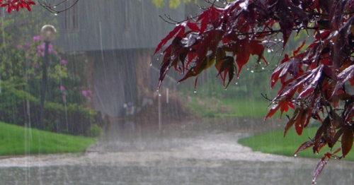 Qatar MET forecast scattered rain in various parts of Qatar; sharp drop in temperature forecast
