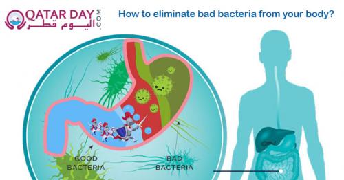 Eliminating Bad Bacteria From the Intestines May Slow Cancer Growth in Smokers