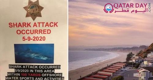 Surfer killed by shark at beach that was closed due to coronavirus