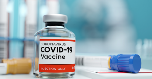 Monkeys infected with COVID-19 develop immunity in studies, a positive sign for vaccines