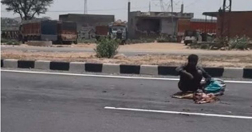 Shocking video of a hungry man eating a dead dog's carcass on the road sparks outrage