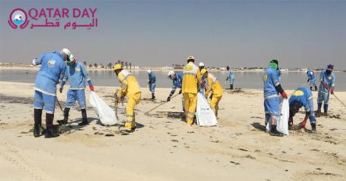 Cleaning of Fuwairet Beach in tandem with Turtle Hatching Season