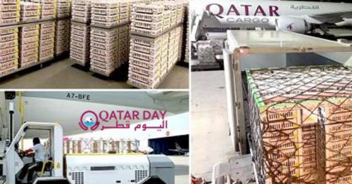 Qatar Cargo delivers historic shipment of day-old breeding stock chicks