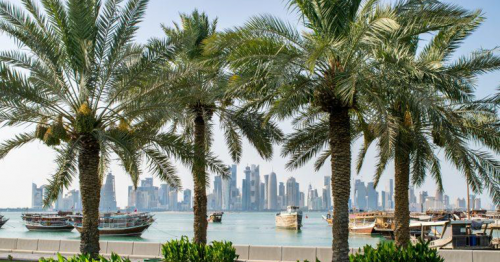 Number of trees in Qatar increased by 93 percent in past 10 years