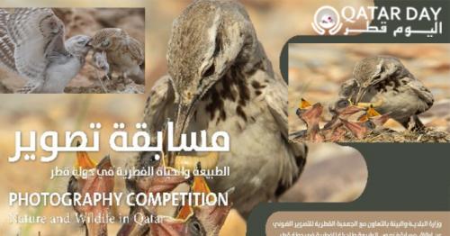 MME Honors Winners of Nature and Wildlife Photography Competition