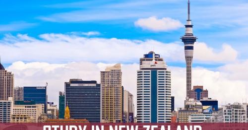 Top 8 Universities in New Zealand