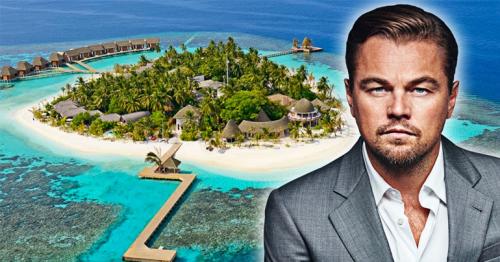 Hollywood Celebrities Private Island