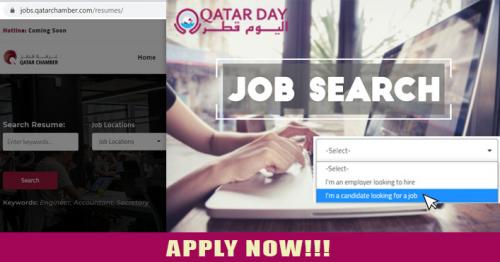 How to use Qatar's Labour Re-employment Platform to apply for a new job?