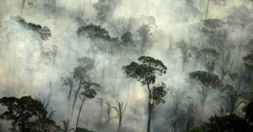 Deforestation in Brazil's Amazon skyrockets to 12-year high under Bolsonaro