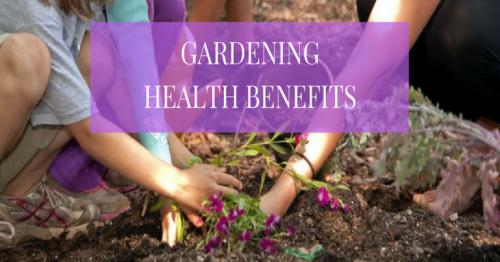 WHY GARDENING IS GOOD FOR YOUR HEALTH