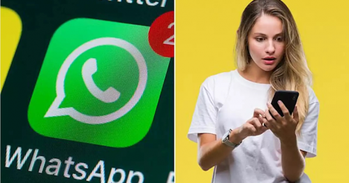 WhatsApp users flock to rival message platforms