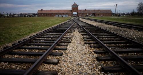 Auschwitz survivors mark anniversary online amid pandemic