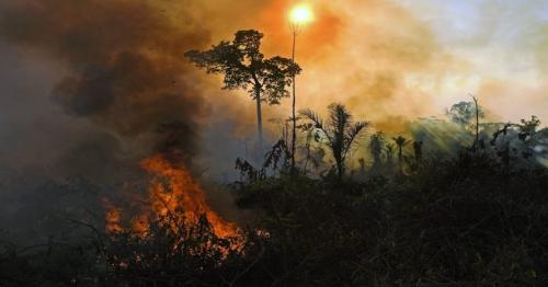 Brazil to end military-led program against Amazon logging
