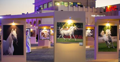 Katara international Arabian Horse Festival gets off to a successful start
